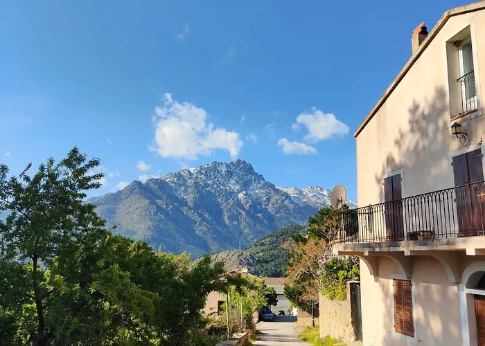 Apartment Les Tilleuls Olmi-Cappella